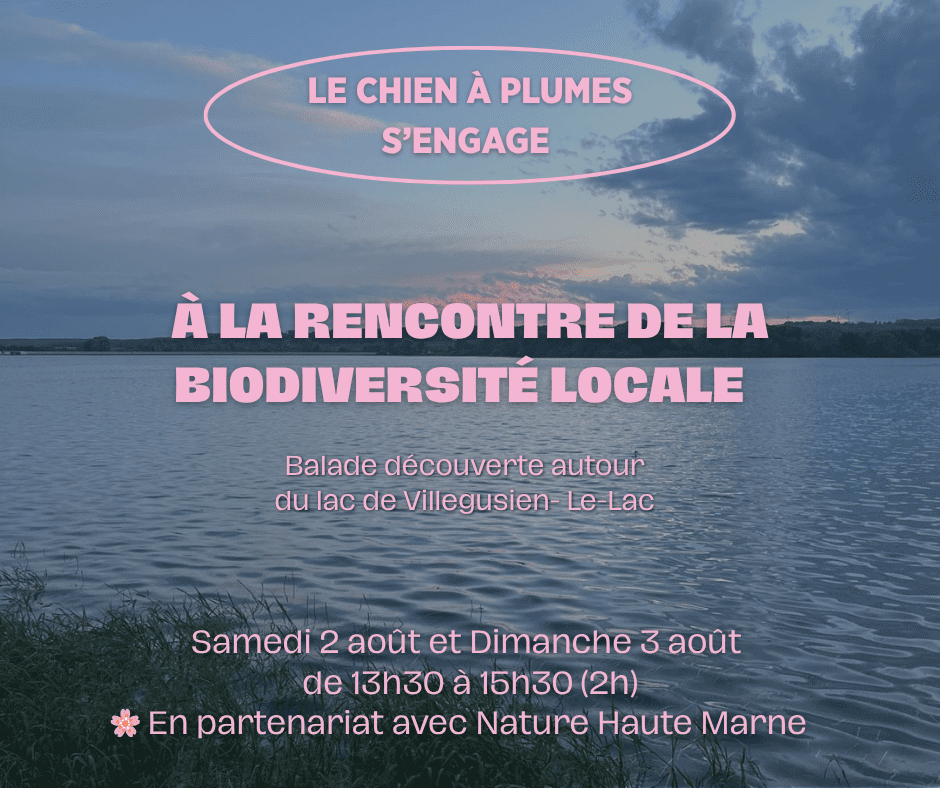le chien à plumes s’engage