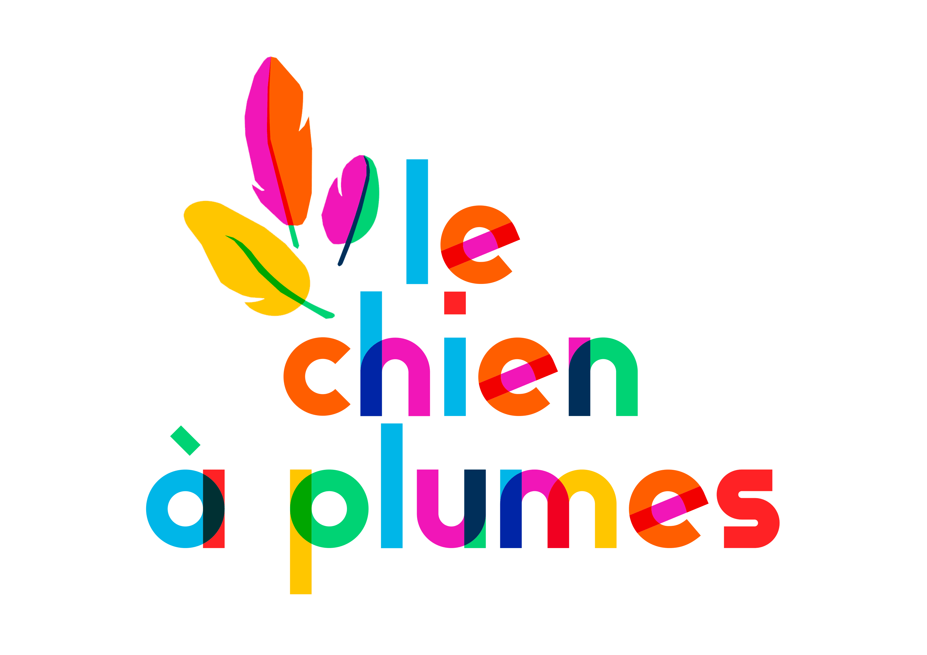 Chien à plumes